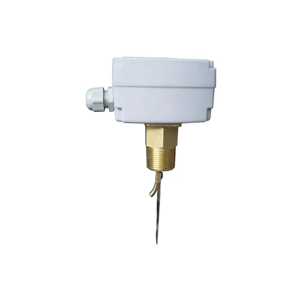 Eatec FS1 Flow Switch 1'' Akış Anahtarı Şalteri